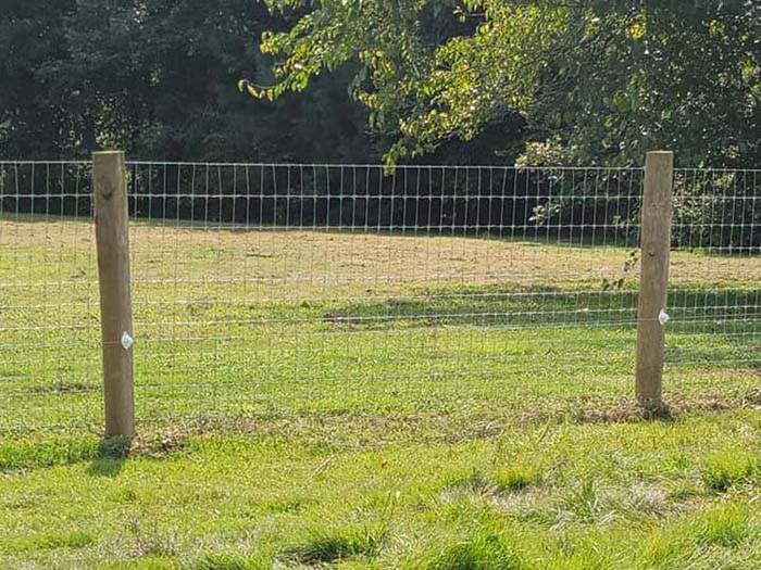 Photo of a cattle fence from a Lancaster County fencing contractor