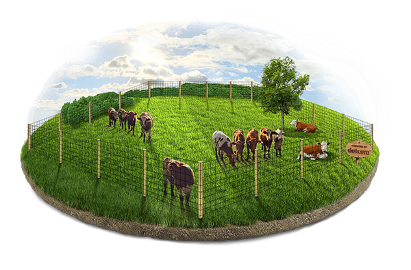 Cattle Fence - York PA