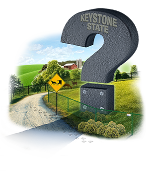 Privacy fence FAQs in the York PA area