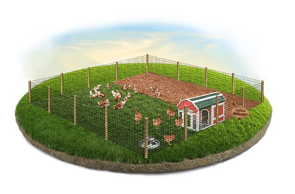 Small Animal Fence - York PA
