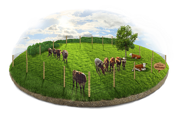 Cattle fenceHoltwood Pennsylvania